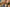 Smiling couple with noses touching in an intimate, close-up moment