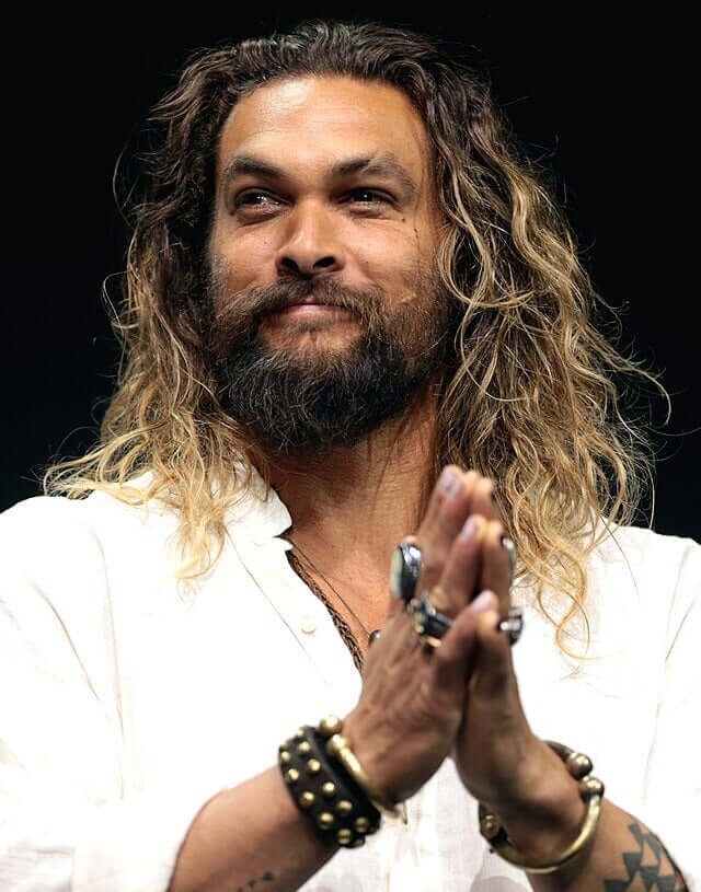 Jason Momoa Beard