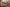 Bearded in the Metaverse