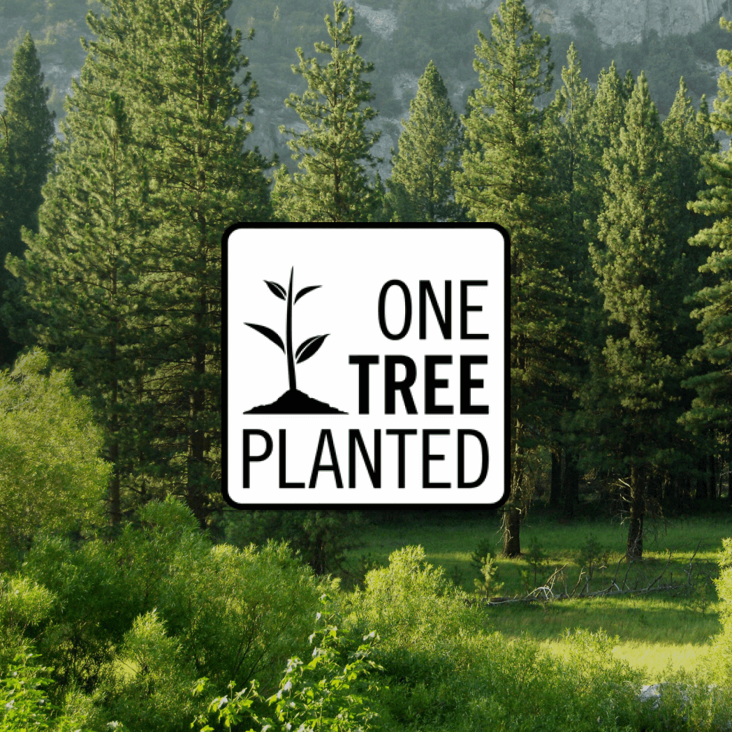 Donation of a Tree - Bearded Coast Grooming Co.